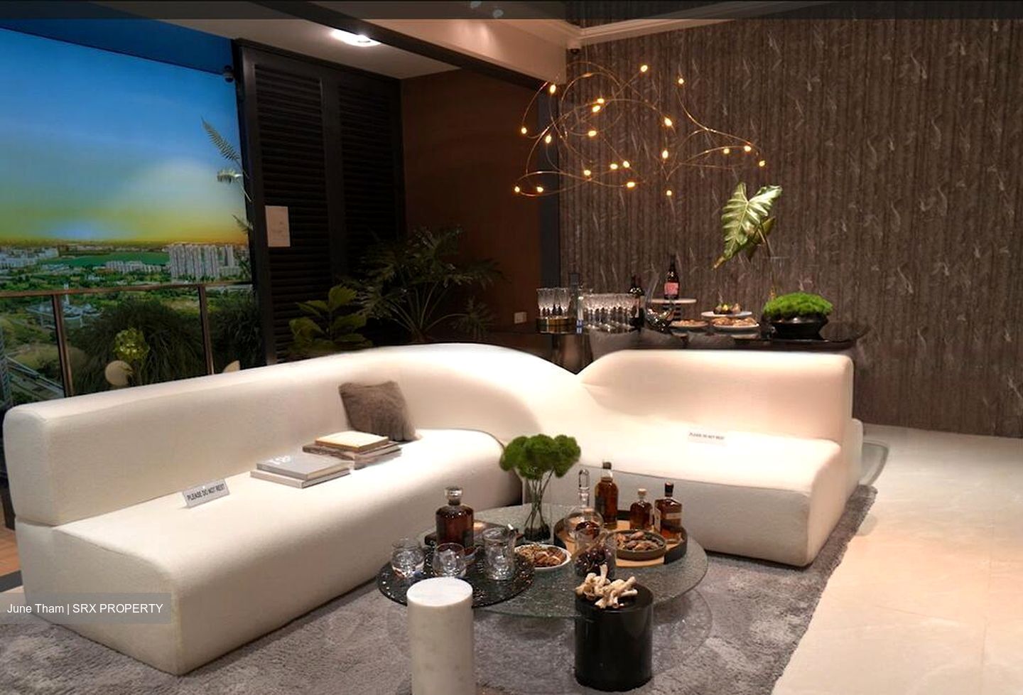J'den (D22), Apartment #457858931